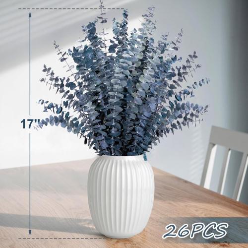 26Pcs Real Dried Eucalyptus Stems, 17 Blue-Green Dry Flowers