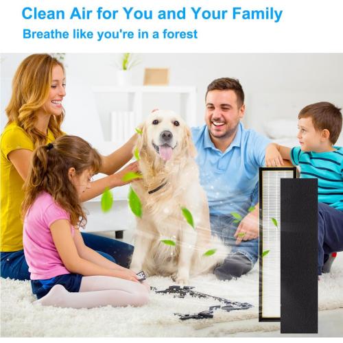 4 10FLT5000 Replacment Filter C is Combined by HEPA Activated Carbon Material,Compatible with Air Purifier AC5000, AC5000E, AC5250PT, AC5350B, AC5350BCA, AC5350W Filter-4HEPA 10Pre-Treatment Filter(4)