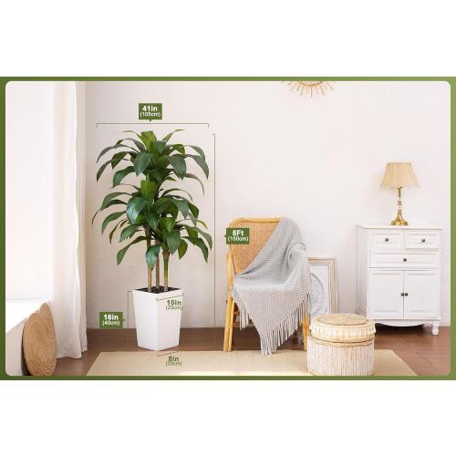 VeriNatural 5FT Artificial Dracaena Tree - UV Resistant Faux Tropical Plant, Potted Fake Tree with Taper Planter & Pebbles - Indoor Outdoor Greenery for Home, Porch, Living Room, Bedroom Decor, VN127
