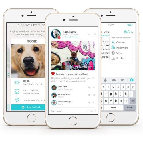 FitBark 2 Dog Activity Monitor | Health & Fitness Tracker for Dogs | Waterproof, Small & Leightweight (10 g) | Not a GPS Tracker