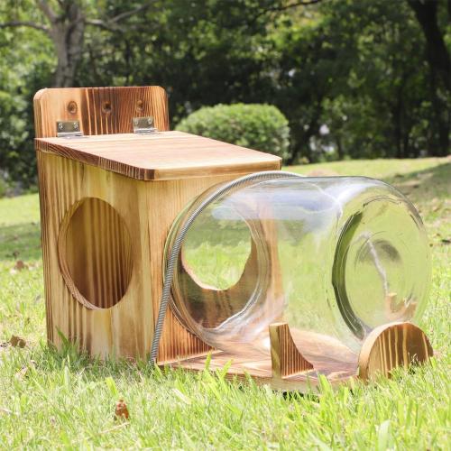 No Assembly Squirrel Feeder,Natural Wood Backyard Gallon Jar Large Squirrel Feeders for Outside Funny for Corn Cobs, Peanuts and Seeds