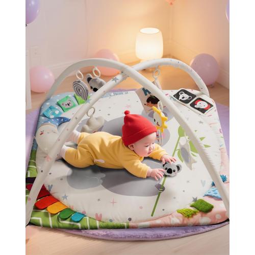 Baby Play Gym with 4 Developmental Zones – Tummy Time Mat & Activity Mat with 6 Sensory Toys, Visual Cards & Pillow – Baby Essentials & Ideal Gift for Newborns