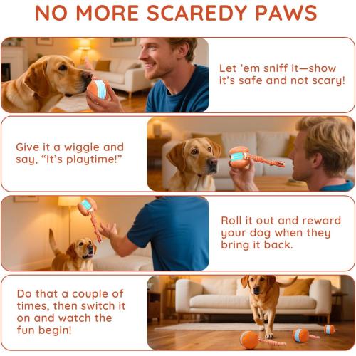 Interactive Dog Toys, Random Path Electric Automatic Moving and Rolling Dogs Toy with Rope for Small Medium Large Dogs, Motion-Activated Dog Stimulation Toy for Boredom Relief (Orange)