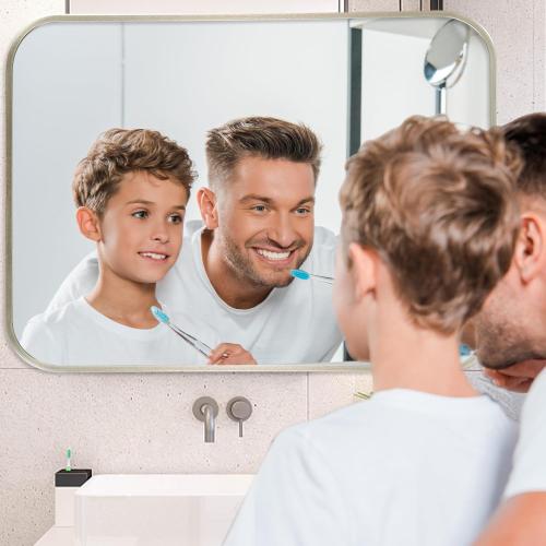 Brushed Nickel Bathroom Mirror, Framed Rectangle Mirror with Rounded Corner, Brushed Mirror, Silver Bathroom Mirror for Over Sink, Vanity, Living Room, Bedroom, Horizontal/Vertical