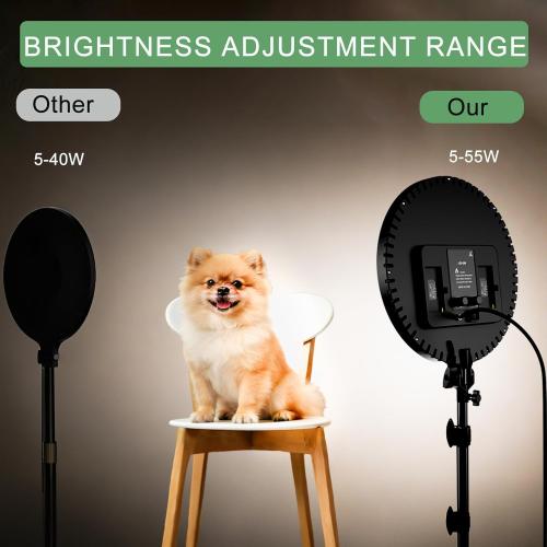Large Barber Light with72 inch Stand, 55W 6500K Full-Screen Selfie Light Ring, 360 Phone Holder,Remote Controller,Box,Black,There are for You to Choose from.(Black, 13)