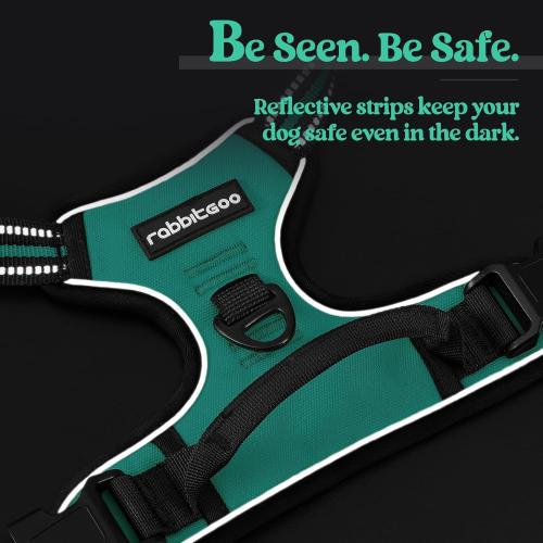 rabbitgoo Dog Harness No Pull with 2 Leash Clips, Adjustable Soft Padded, Reflective Oxford No Choke Pet Vest with Easy Control Handle for Small Dogs, Turquoise, S