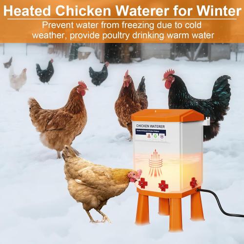 Heated Chicken Waterer 3.2 Gallon, Chicken Water Heater for Winter, Freeze Proof Chicken Waterer, 4 Nipples for Clean Water，Detachable Legs, Adjustable Height for Chickens, Pigeons, Beaked Poultry