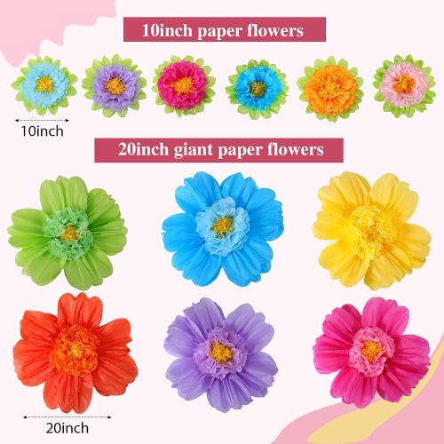 TaoBary Giant Tissue Paper Flowers, 20,10, Rainbow Color, 12 Pcs