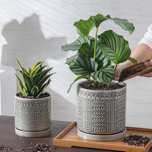 Indoor-Outdoor Ceramic Plant Pots: 8 Inch Flower Pots with Drainage Hole & Saucer - Decorative Ceramic Pots for Plants Herbs Succulents - Home Garden Patio Lawn Use