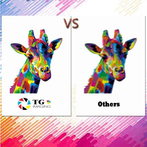Compatible DR400 Drum Unit and TN460 Toner Cartridge Set Replacement for Brother TN-460 Toner DR-400 Drum for DCP-1200 HL-1440 MFC-8300 MFC-9870 MFC-P2500 IntelliFax-4100E Printer (2-Pack)