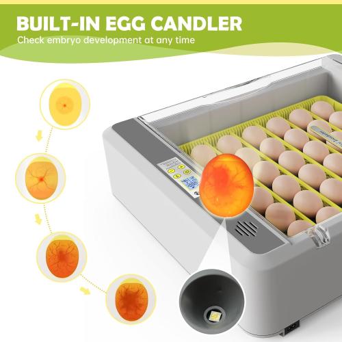 Egg Incubator for Hatching Chicks, 36 Eggs Automatic Turner with Temperature & Humidity Control, Multifunctional Ultra-Clear Panoramic View with Hatch Days & Egg Candler for Chicken, Duck, Goose, Bird