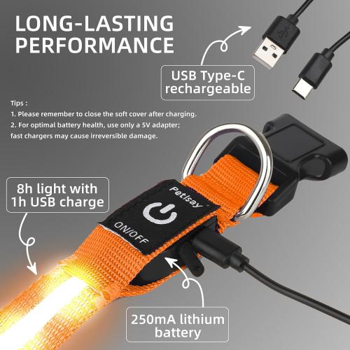 Super Bright LED Dog Collar, Waterproof Light up Collars(Orange, Large)