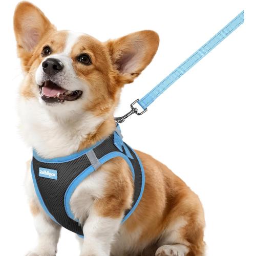 rabbitgoo Dog Harness Small Sized and Leash Set, Step in Soft Vest