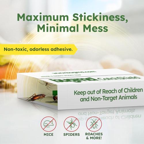 BugMD CatchShield Glue & Sticky Traps for Mice, Rats & Insects – Non-Toxic Pest Control, 24-Pack, Pet & Family Friendly, Extra-Strength, Ready-to-Use Adhesive Traps