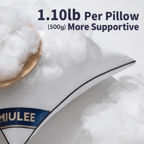 MIULEE Small Pillow Inserts Set of 2 Throw Pillows  Premium Down Alternative Pillow Inserts Decorative Pillow Stuffer for Sofa, Couch (Set of 2)