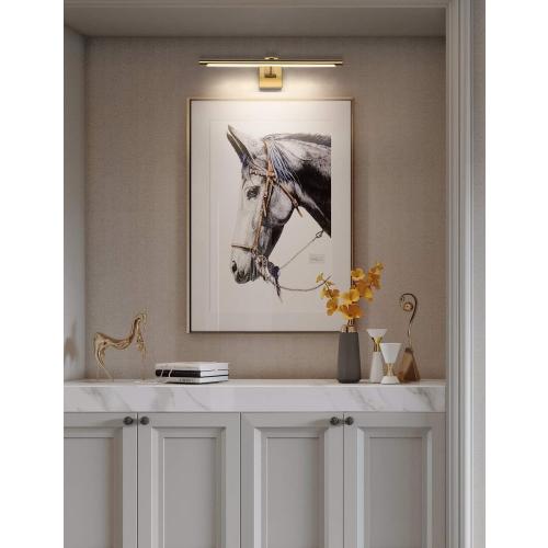 LED Picture Light Fixtures 24.4 Inches, Full Metal Artwork Wall Lamp with Single Swing Arm, 14W (70W Eqv.), Hardwired Connection, Dimmable, 3000K Warm White, CRI95 , Golden-Like Brass Finish