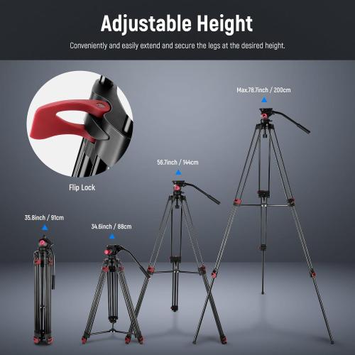 NEEWER 79/200cm Video Tripod, Heavy Duty Aluminum Alloy Camera Tripod Stand with 360° Fluid Drag Head, QR Plate Compatible with Canon Nikon Sony and Other DSLR Camera Camcorder, Load Up to 17.6lb/8kg