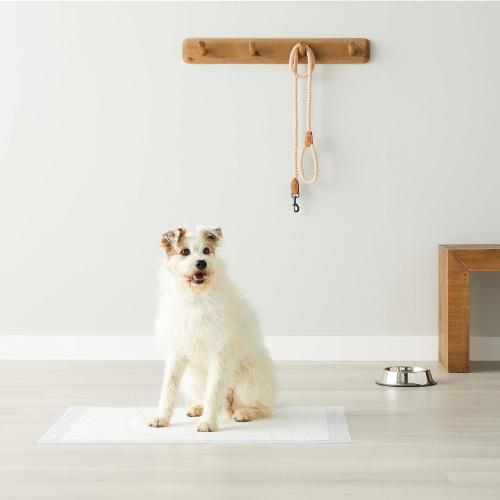 Amazon Basics Leak-Proof Dog and Puppy Potty Training Pee Pads with Quick-Dry 5-Layer Design, Housebreaking, Standard Absorbency, X-Large, 28 x 34 Inch, Blue & White, 60-Pack