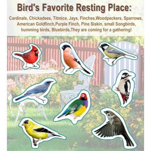 Garbuildman Upgraded 5-Prong Base Bird Bath with Metal Stake, Detachable Decoration Bowl Spa & Freestanding Birdfeeder for Outdoor Garden, Oval Style, Brown