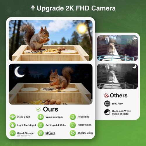 Wooden Squirrel Feeder with Camera, Solar-Powered, 2K HD  Video | Cloud Storage, Large Capacity, Ideal for Squirrel Lovers