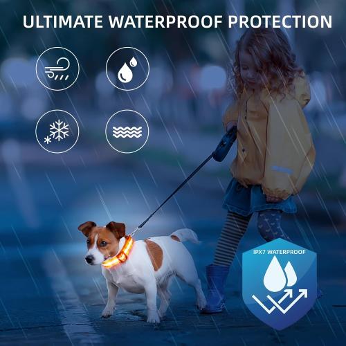 Super Bright LED Dog Collar, Waterproof Light up Collars(Orange, Large)