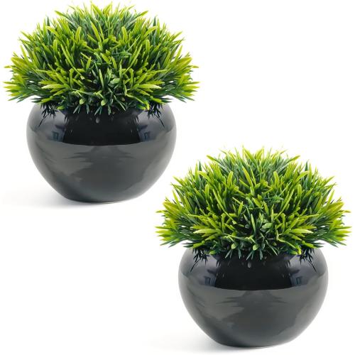 Velener Small Artificial Succulents Grass Desk Plant for Office, Fake Sage Plants for Shelf Decor, Mini Faux Plant Indoor, Masculine Home Decor, Coffee Table Decor, Bathroom Decor in Pot (2 Pack)