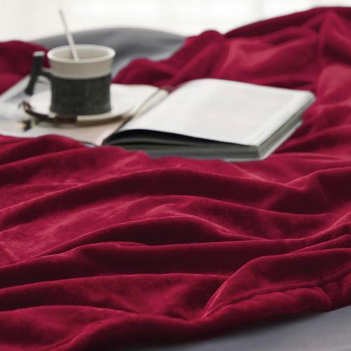 Flannel Fleece Luxury Blanket Red Queen(90x90) Size Lightweight Cozy Plush Microfiber Solid Blanket by Bedsure