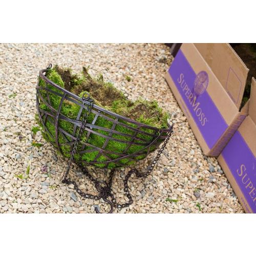 SuperMoss (21508) Preserved Sheet Moss, Fresh Green, 5 Pounds