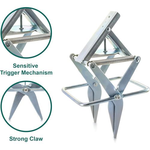 2 PCs Mole Traps Scissors, Reusable Silver Galvanized Steel Scissor Mole Gopher Trap for Outdoor Lawn and Garden - Easy to Use Design Ensures Quick Capture of Moles Gophers
