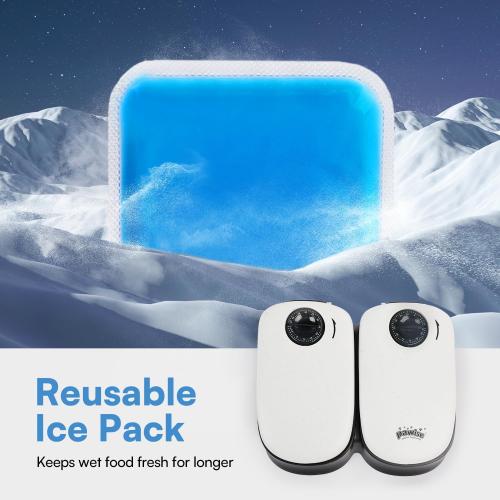 PAWISE Automatic Pet Feeder for Cats and Dogs,Dog Automatic Feeders with Timer, Automatic Cat Feeders with Ice Pack (2 Meal-1)