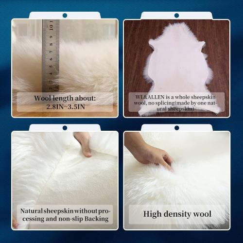 WL&ALLEN Sheepskin Rug - Genuine Thick & Lush Pile, Luxury Australian Pelts | Large Single  Ivory White