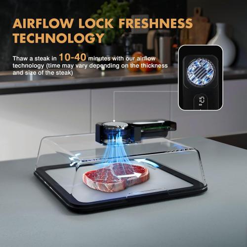 Rapid Defrosting Tray for Frozen Meat, Meat Thawing Tray for Frozen Meat with Airflow Technology, Meat Defroster, Smart Defrosting Mat, Thawing Mat, No Cold/Warm Water Required, Black