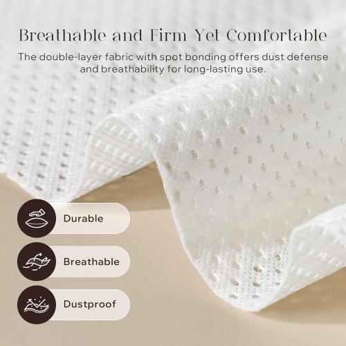 Phantoscope Pillow Inserts, 100% Virgin Fiber Hypoallergenic Polyester Throw Pillow Inserts, Square Pillows for Couch, Sofa, Bed, 20x20 Inch (Pack of 2)