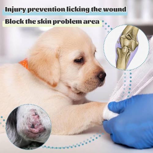 ROZKITCH Dog Recovery Sleeve Front Leg Right Left, Pet Prevent Licking Wound Elbow Knee Protector, Dog Recovery Suit Cone Collar Alternative for Sprain ACL CCL Arthritis Joint Care Black M