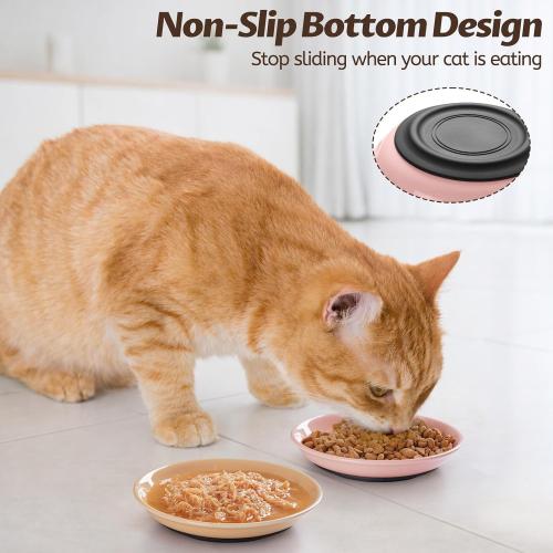 WROSWT Colorful Cat Food Bowl,Non-Slip Silicone Bottom Cat Bowls for Indoor Cats,Anti Whisker Fatigue Cats Dishes Set,Shallow Wide Kitten Plates for Food and Water,4 Pack