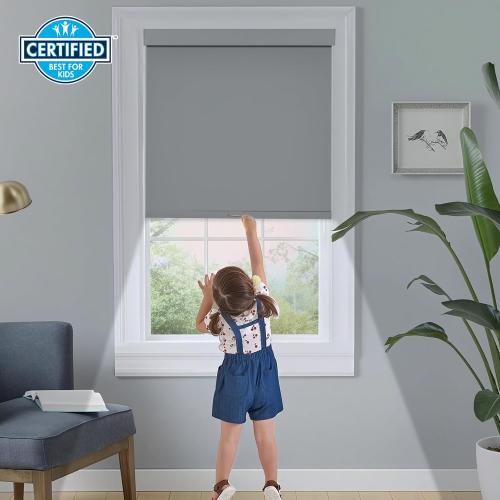 Persilux Blackout Roller Blinds for Windows, Cordless Free-Stop Roller Shades with Valance, Thermal Insulated Fabric Window Blinds, UV Protection Shades for Home and Bedroom (Grey,16 W x 64 H)