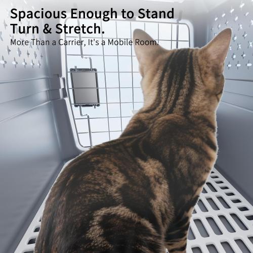 RIZZARI Airline Approved Pet Carrier for Cats & Small Dogs, Travel Crate | Hard-Sided Protection,Secure Locking Door,Excellent Airflow,Comfortable Travel,Lightweight Design