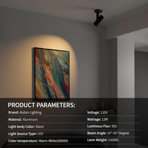 Aisilan Adjustable Dimmable Beam Angle 10-55° Zoomable Spotlight Indoor, 12W White LED CRI 97 Ceiling Spotlight Fixture, 2 Pack 3000K Modern Accent Lighting for Hallway, Living Room, Mural