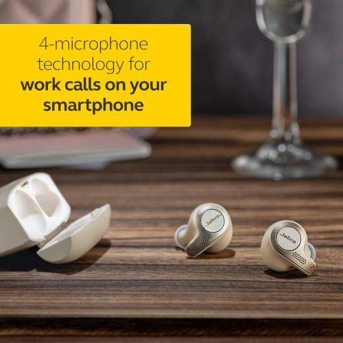 Jabra Elite 65t Alexa Enabled True Wireless Earbuds Charging Case – Titanium Black