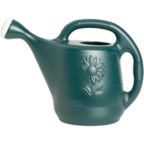Root & Vessel Classic 2-Gallon Watering Can Outdoor, Hunter Green
