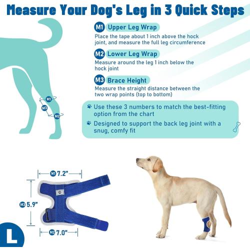 Dog Leg Braces for Back Leg- Hock and Ankle Joint Support Brace for Rear Legs with 2 Metal Strips, Reflective Edging for Sprain, Injury, Arthritis, Wound Recovery,Blue,L