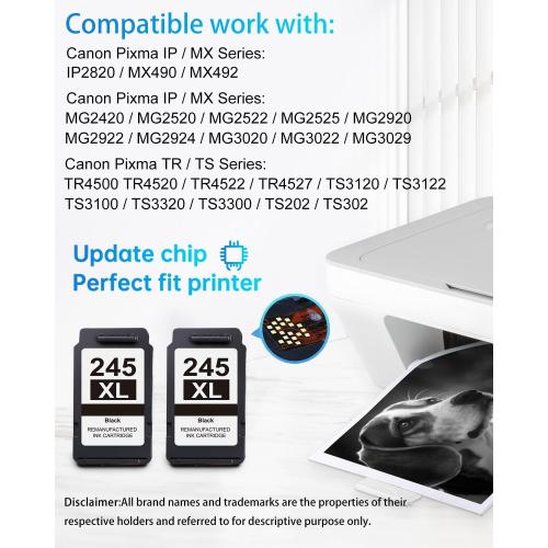 LEMERO 245XL Ink Cartridge Replacement for Canon 245XL Black Ink PG-245 245 XL Black Ink Cartridge Work with Canon Pixma MG2522 MG2500 MG2520 MX490 MX492 TR4520 TR4500 TS3322 TS202 Printer Ink (2Pack)
