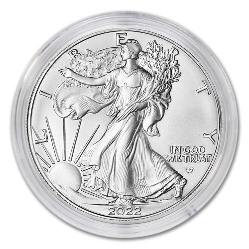 2022 W 1 oz Burnished American Silver Eagle Brilliant Uncirculated (in Capsule) with Original United States Mint Certificate of Authenticity $1 Seller BU