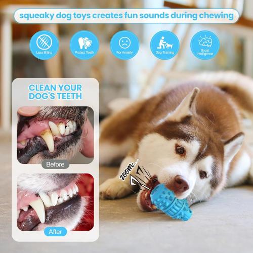 PIFFZEDO Dog Toys for Aggressive Chewers,Interactive Natural Rubber Chew & Squeaky Toy for Medium Breed Only(Not for Small Dog),Dog Toothbrush,Tough & Durable (Azure,Medium)