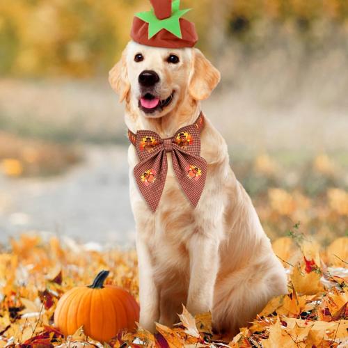 Malier Thanksgiving Dog Collar with Bow tie, Adjustable Bowtie Trukey Collars for Girl and Boy, Cute Holiday Puppy Collars for Small Medium Large Dogs Cats (Thanksgiving Day, Large)