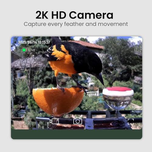 ‼️may be some missing pieces or mild stains ‼️Smart Bird Feeder with Camera Solar Powered, 2K HD Video, AI Bird Species Identification, Instant Arrival Alerts, Weatherproof Design for Effortless Birdwatching, Best Gift for BirdLovers, Red