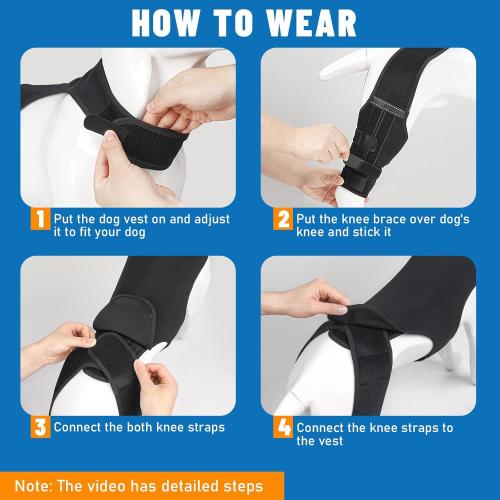 Dog Knee Brace for Hind Legs- Adjustable Dog Leg Brace for Both Back Leg Helps with Torn ACL, Luxating Patella, Ligament Injuries & Arthritis, L