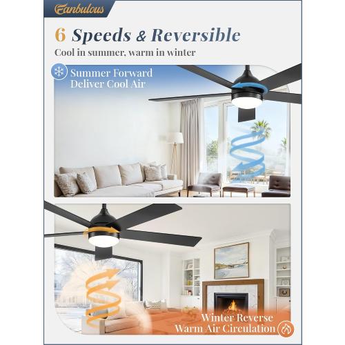 Fanbulous 48 Inch Ceiling Fan with Light and Remote, Black