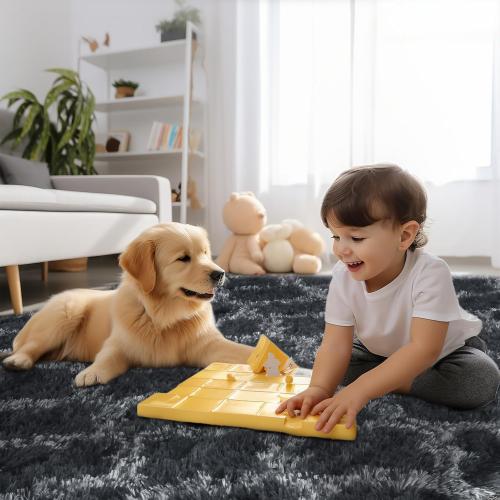 Sour Lemon 8x10 Area Rugs for Bedroom, Living Room Fluffy Rug, Large Area Rug Shag Shaggy Carpet Soft Plush Furry Bedside Rugs, Machine Washable Area Rugs for Kids Girls Boys Home Decor Anti Slip