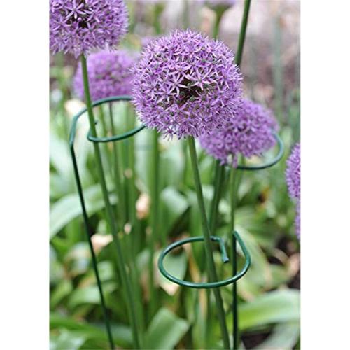 24 Inches Single Stem Plant Support Stakes Steel Garden Stakes Plant Atem Support, Pack of 20